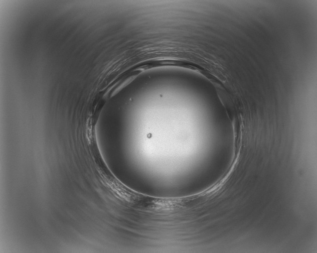 X0000056340190200508291325