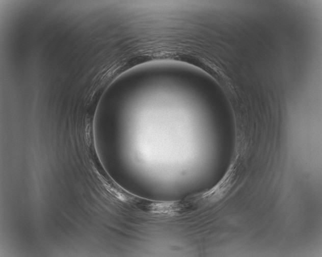 X0000056340192200508291325