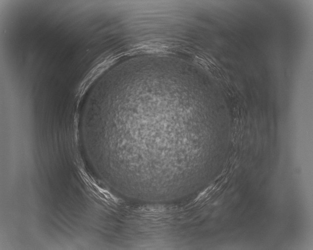 X0000056340194200508291324