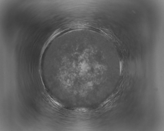 X0000056340195200508291324