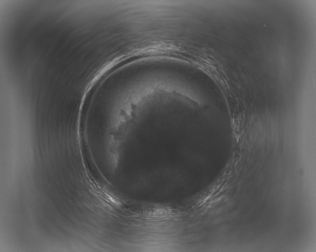 X0000056340196200508291324