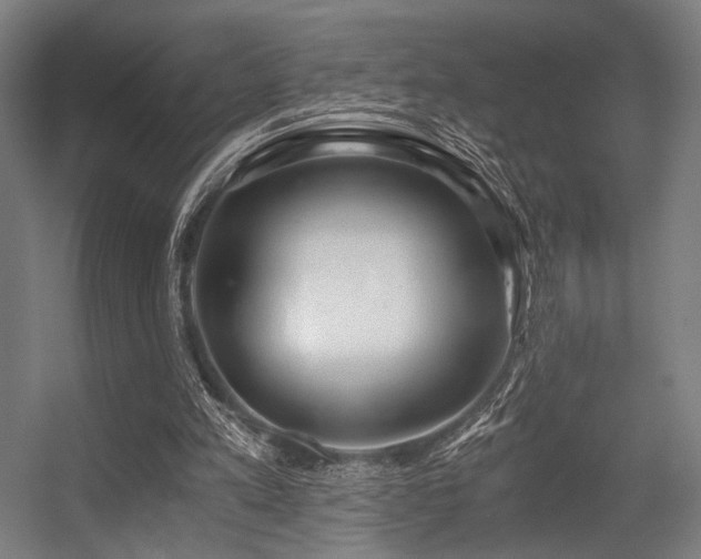 X0000056340197200508291324