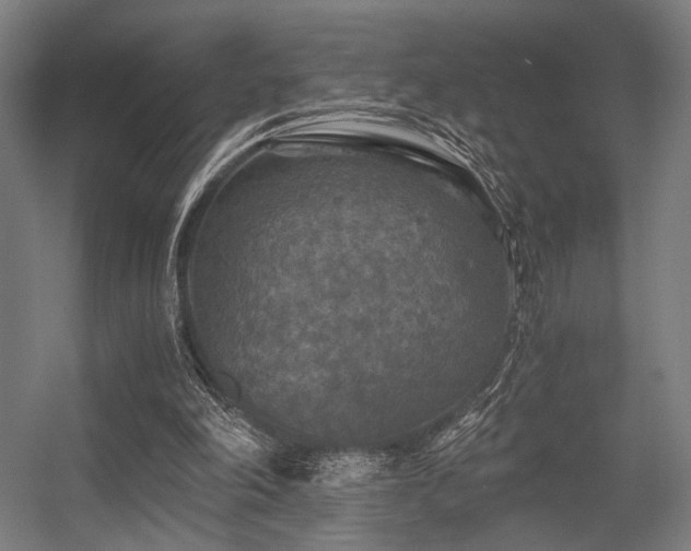 X0000056340198200508291324