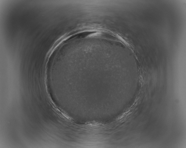 X0000056340199200508291324