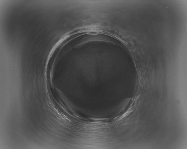 X0000056340200200508291324