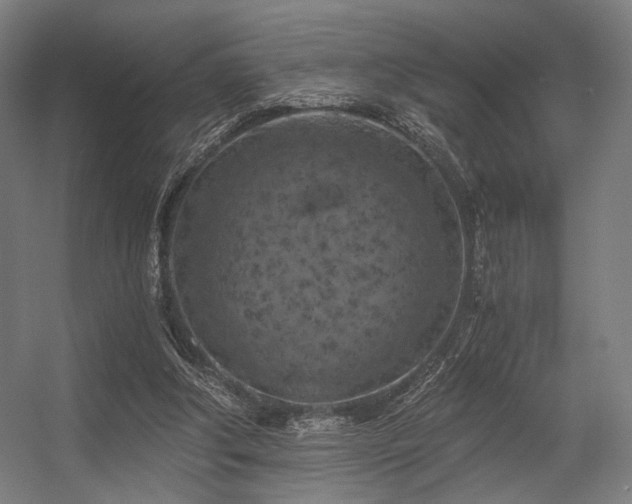 X0000056340202200508291324