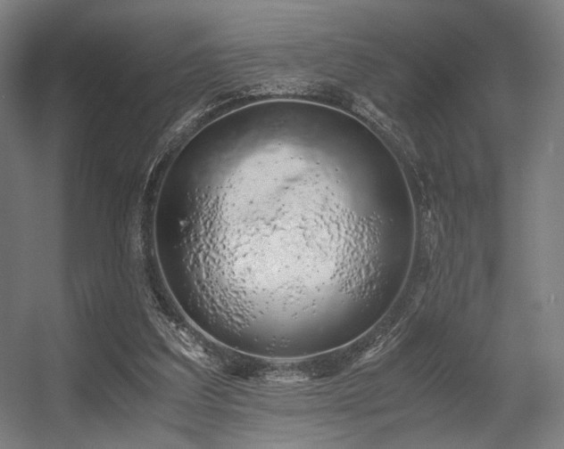 X0000056340203200508291324