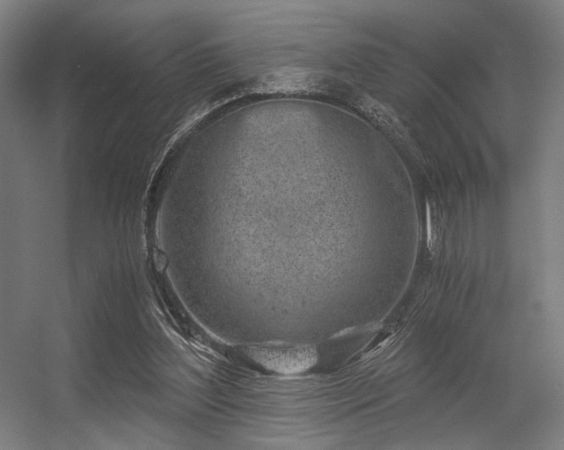 X0000056340204200508291324