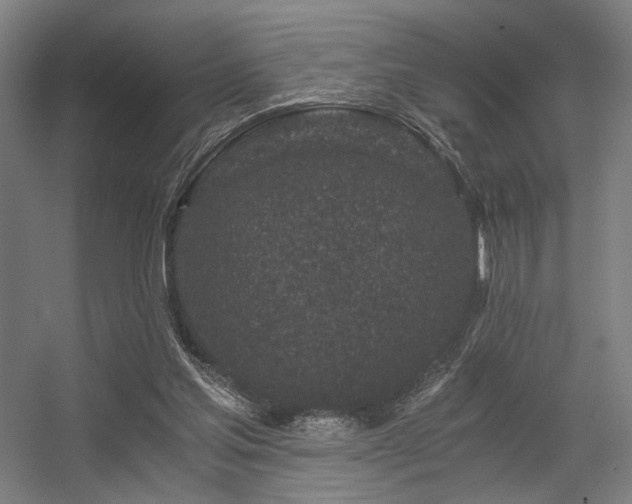 X0000056340205200508291324