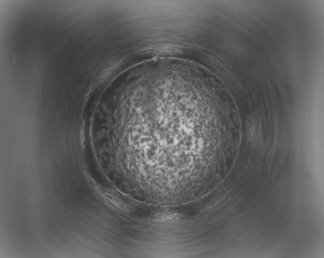 X0000056340206200508291324