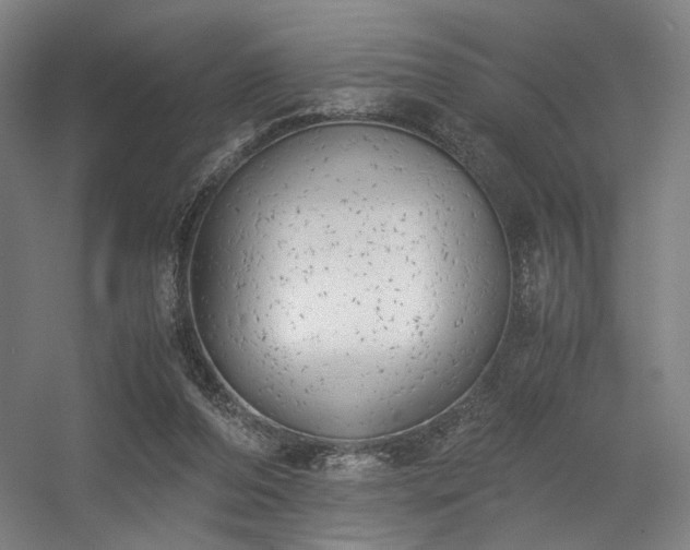 X0000056340208200508291324