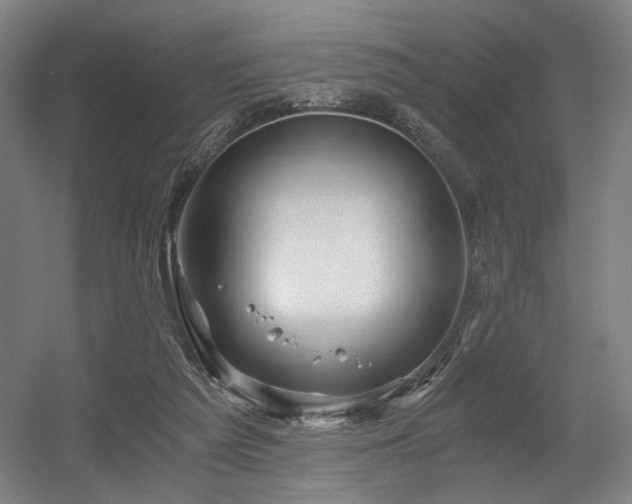 X0000056340209200508291324