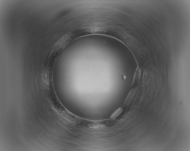 X0000056340210200508291324