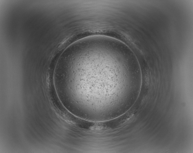 X0000056340211200508291324