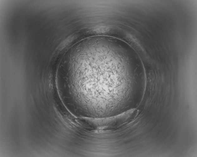 X0000056340212200508291324