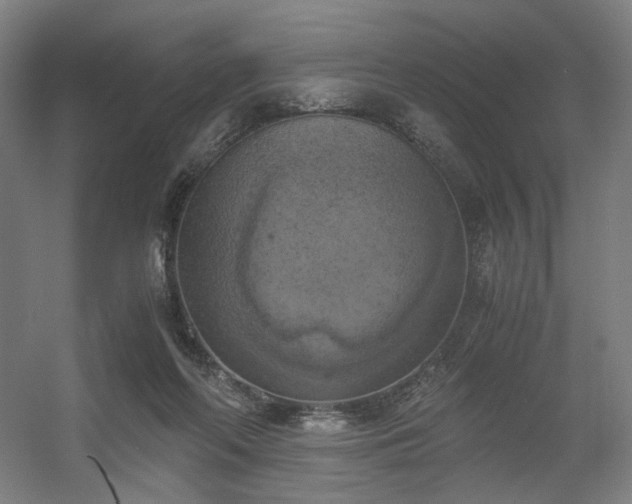 X0000056340214200508291324