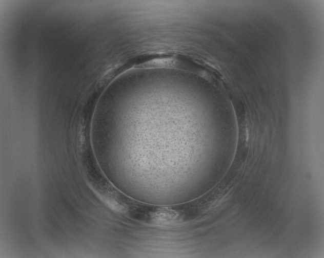 X0000056340215200508291324