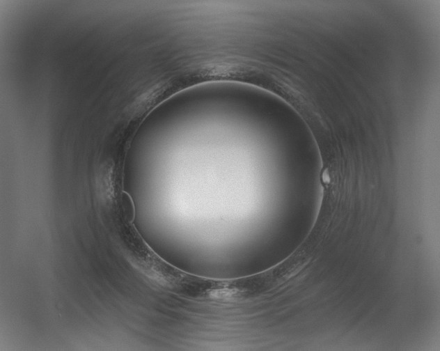 X0000056340216200508291324