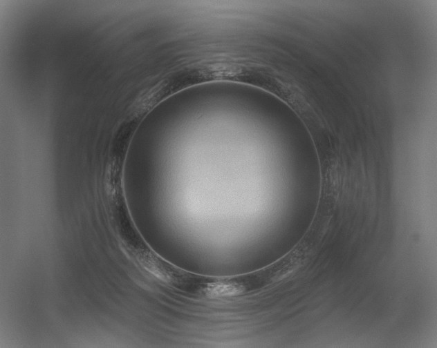 X0000056340218200508291324