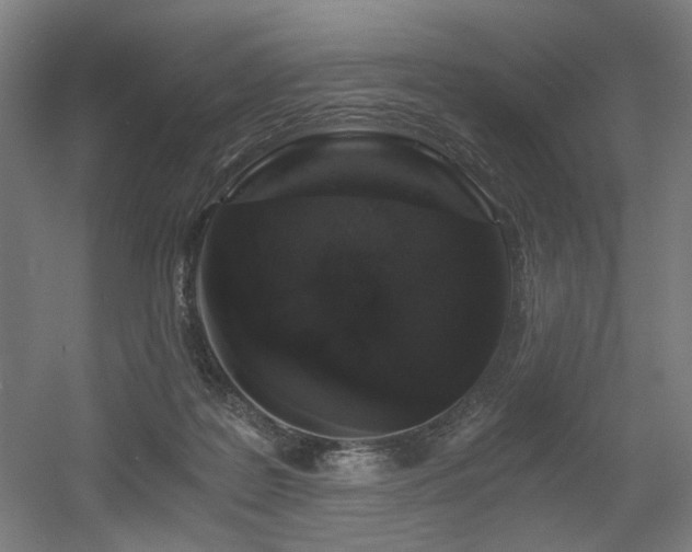 X0000056340219200508291324