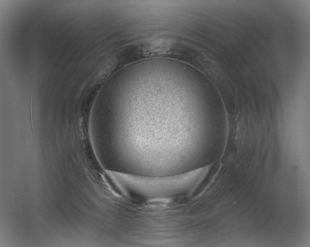 X0000056340224200508291324