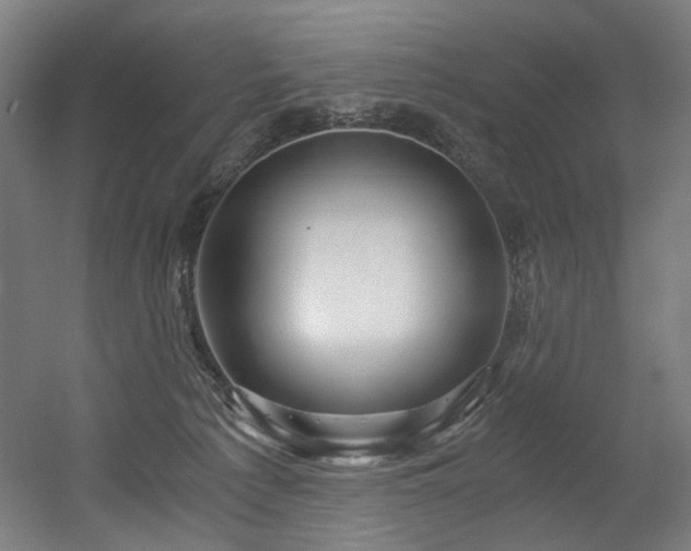 X0000056340225200508291324