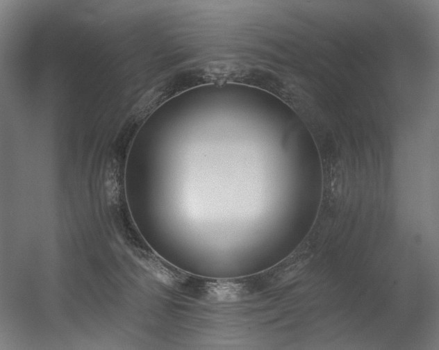 X0000056340226200508291324