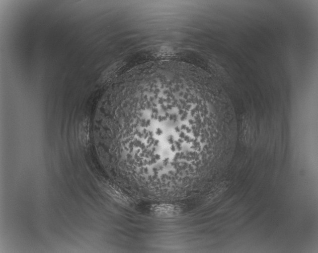 X0000056340230200508291324