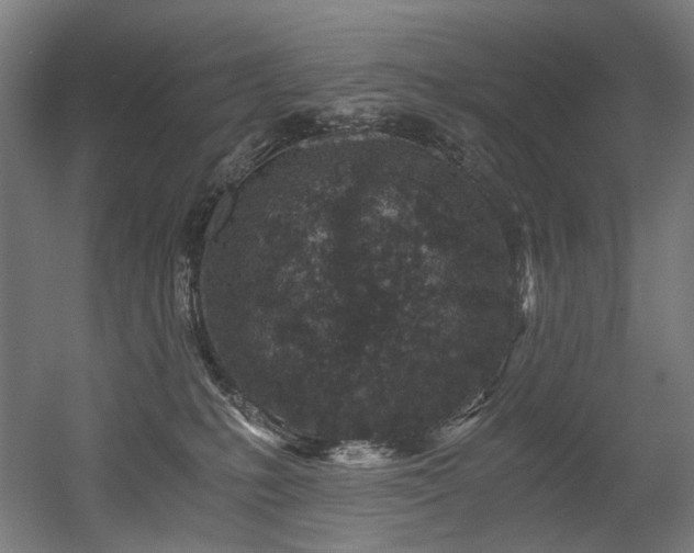 X0000056340231200508291324