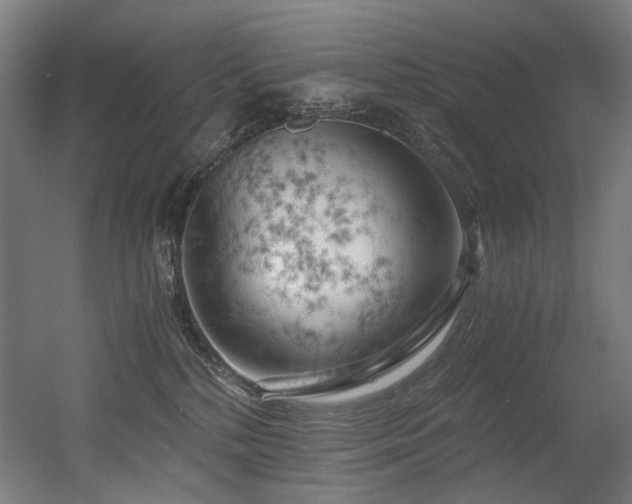 X0000056340232200508291324