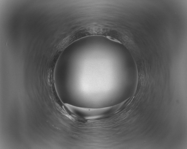 X0000056340233200508291324