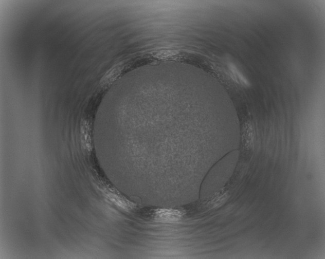 X0000056340234200508291324