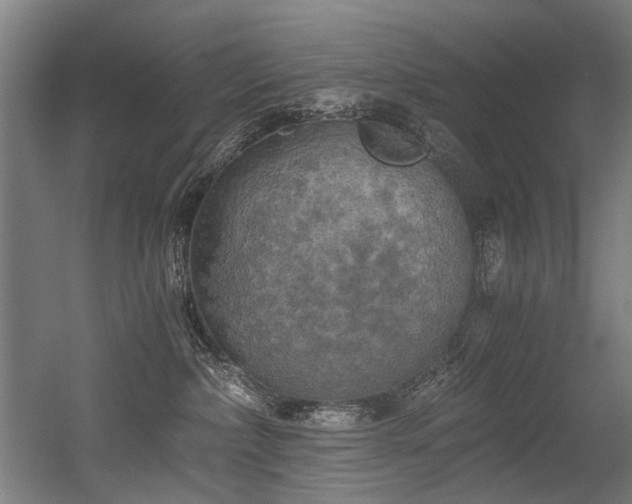 X0000056340236200508291324