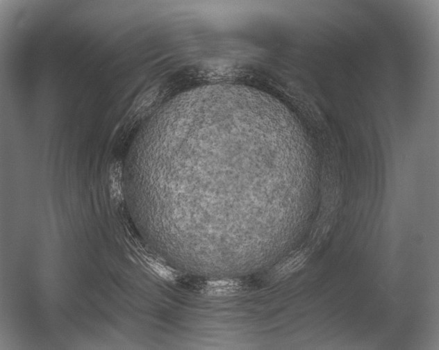 X0000056340240200508291324