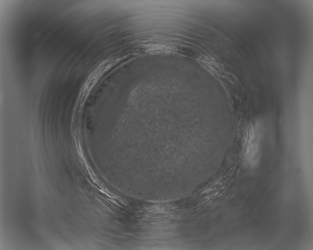 X0000056340241200508291323