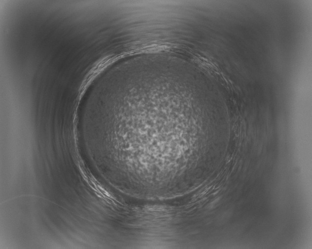 X0000056340242200508291323