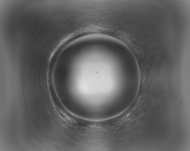 X0000056340244200508291323