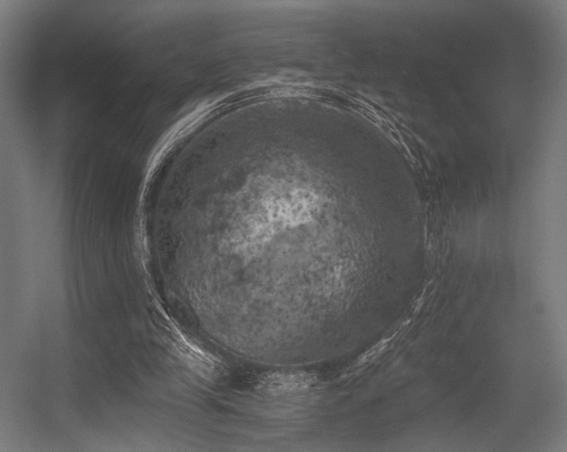 X0000056340245200508291323