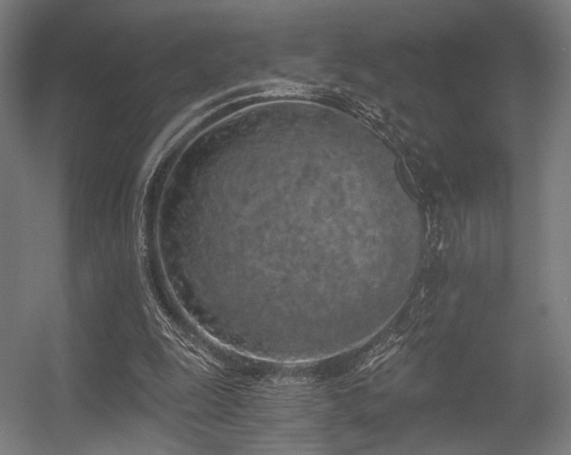 X0000056340247200508291323