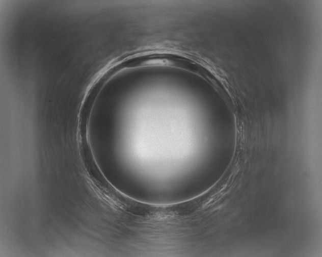 X0000056340248200508291323