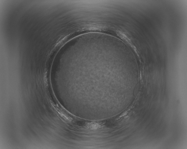 X0000056340249200508291323