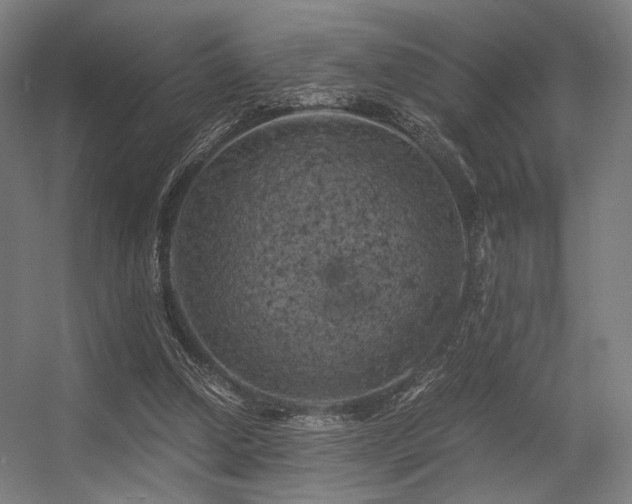 X0000056340250200508291323