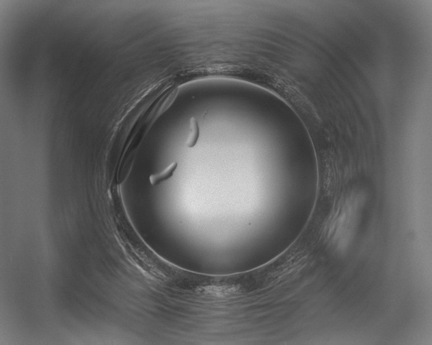 X0000056340251200508291323