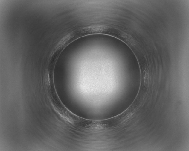 X0000056340254200508291323