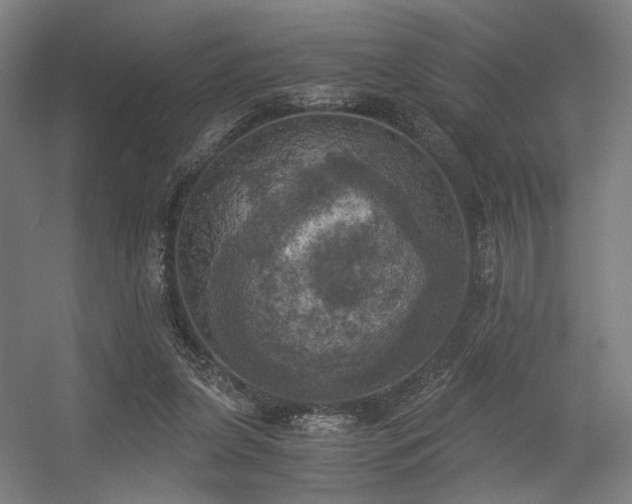 X0000056340255200508291323