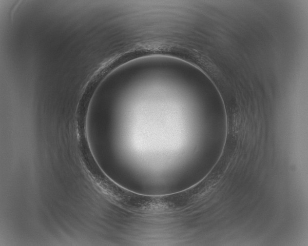 X0000056340256200508291323