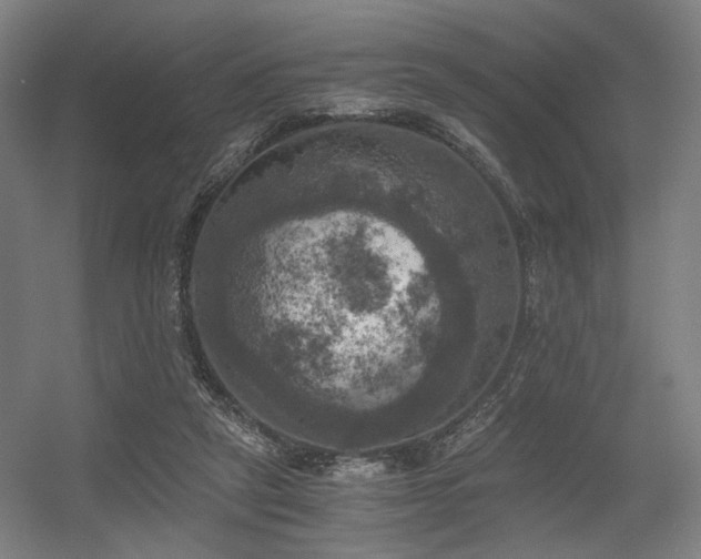 X0000056340257200508291323