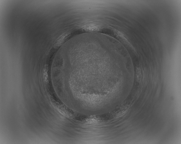 X0000056340259200508291323