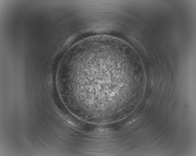 X0000056340260200508291323