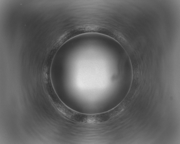 X0000056340264200508291323